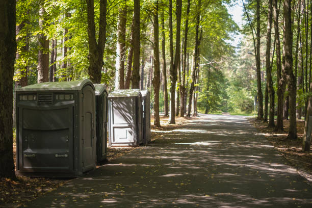 Best Local porta potty services  in Pine Bluffs, WY